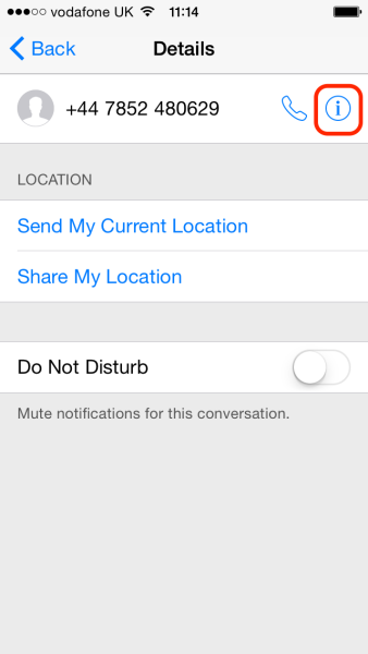 iPhone - Information Screen