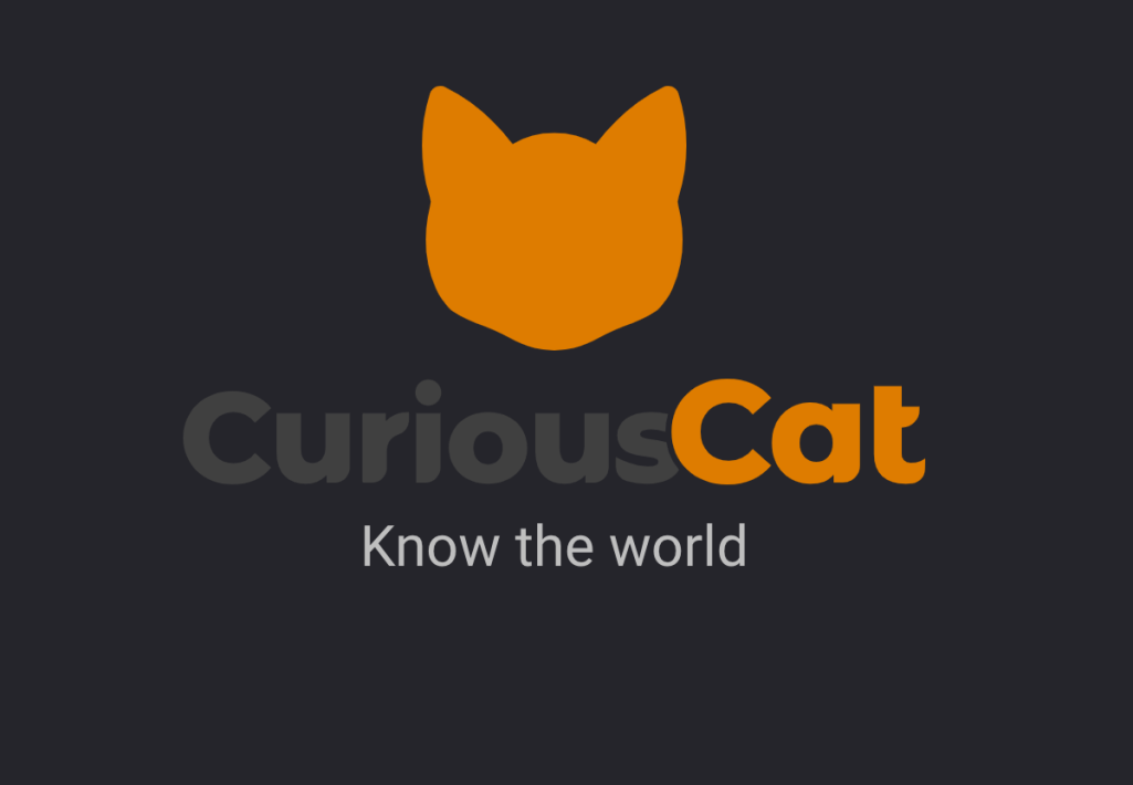 Curious Cat