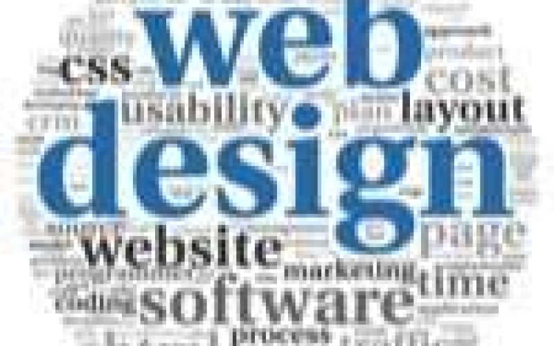 Steps to Consider Before Becoming a Web Designer